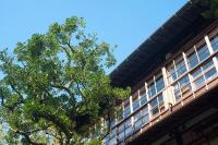 KANSUIRO ANNEX - B&B