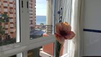 aguamarina - B&B