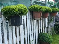 Acrotel Sofia's Guest House - Chambres d’hôtes Siderás