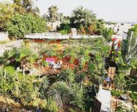Barefoot by Barefoot in Tunis - B&B