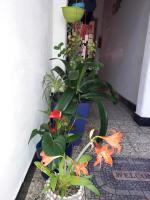 EnmicasaSSJ-Rosario - B&B Rosario