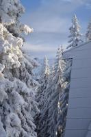 Vila Plan centar Kopaonik - Ferienwohnung Kopaonik