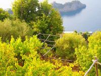 B&B Amalfi - GIARDINO SUL MARE - Bed and Breakfast Amalfi