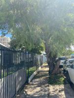 Apartment - Erdgeschoss