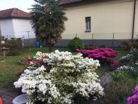 Grandma's garden house - Bed and Breakfast Angera