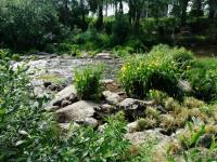 Villa Anne hirsimökki