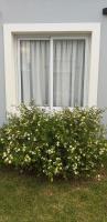 Las Toscas Apart - B&B