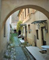 White Wolf Apartment - Ferienwohnung Kronstadt