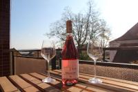 Penzion jaký svět neviděl - Chambres d’hôtes Šakvice