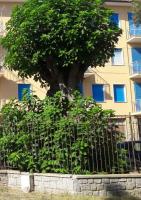 ELEGANTISSIMO APPARTAMENTO DIRETTAMENTE SUL MARE SPIAGGIA LE GHIAIE 6 posti letto - Chambres d'hôtes Portoferraio