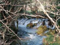 APARTAMENTOS COSTA XUÑO - B&B Porto do Son