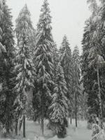 Noemi Marilleva vacanze - B&B Marilleva 1400