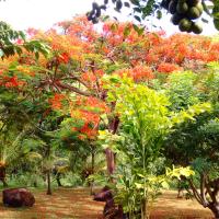 Nature Paradise Pool & Spa - Exceptional Secluded Luxury Location - Ferienwohnung
