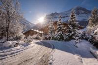 Chalet Dolphin NEW! - B&B Grindelwald
