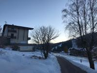 Appartement 6 pers - Les 4 Loups au pied des pistes - B&B Gérardmer