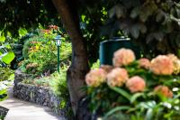 Casa Miguel - Chambres d’hôtes Machico