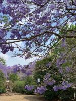 Wyndover Mountain Retreat - B&B Beechmont