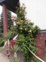 Das besondere Quartier in Berlin Pankow - B&B