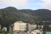 DREAM Hill HOMESTAY NUWARA ELIYA - B&B