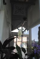 Ayuntunhue Apart Hotel - Ferienwohnung San Bernardo