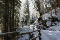 Apartment mit Blick auf die Berge