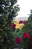 Alloggio turistico Monte Santa Maria - B&B Poggio Nativo