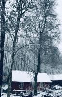 Skrattande Ko - B&B Tingsryd