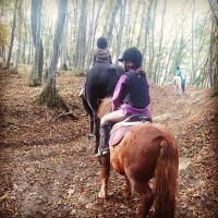 Agropensiunea Rafila - B&B