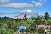 Nachelle Homestay - B&B
