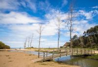 Casa Camelia - Ferienwohnung Oreña