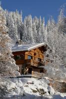 Les Saisies côté Bisanne appartement dans chalet LE Népal - B&B Les Saisies