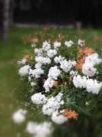 Christl's Traum - B&B