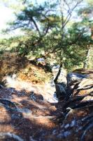 A l'orée de la forêt - B&B Recloses