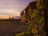 CorteZecchina - B&B Piove di Sacco