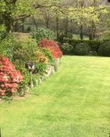 Queen Room with Garden View