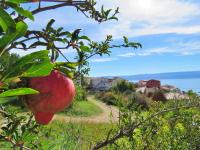 Appartamento con 3 Camere da Letto