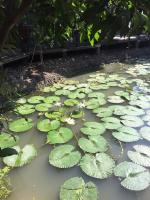 BAANYA HOMESTAY Ko Kret - Bed and Breakfast