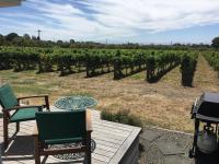 B&B Havelock North - Tuki Vineyard Cottage - Bed and Breakfast Havelock North