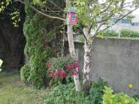 Deluxe Double Room with Shower