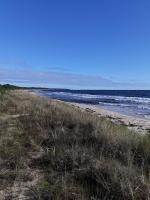 Linda Gård apartment - Chambres d’hôtes Yngsjö