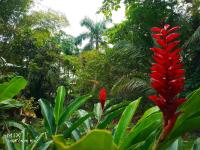 Mission Villas, Big Creek, Isla Colon, Bocas del Toro, Panama - B&B Bocas del Toro