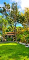Pipa Style - B&B