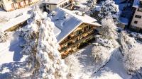 AppartChalet LA RONDULA - 100m from Seceda - B&B Ortisei