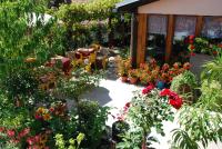 "Pivnica i smestaj Jovanovic"- Rogljevacke pivnice - B&B Rogljevo