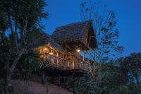 HornBill Treehut