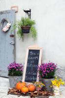 Tra i Campi Di Papaveri - Bed and Breakfast