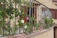Il Gufo del Chianti - Bed and Breakfast