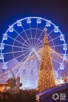 Iosia Premium Apartment - B&B Oradea