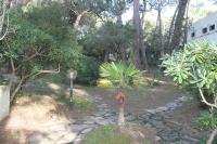 Appartamento La Perla a soli 100m dal mare a Marina di Castagneto - B&B Marina di Castagneto Carducci