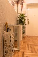 One-Bedroom Apartment - Petra Zoranica 4